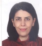 Assist. Prof. Dr. MİRA ASSADI