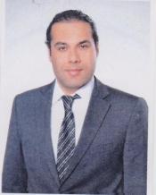 Assist. Prof. Dr. MORTAZA OJAGHLOU